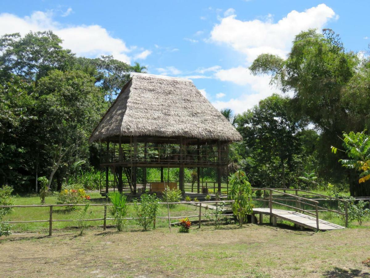Intillama Jungle Lodge Eirl Paucarpata  Exterior photo